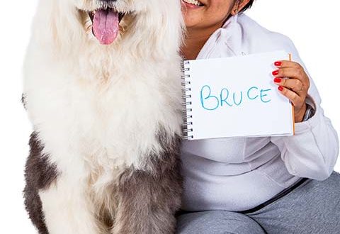 Tatiane Ichitani, a psicóloga, e Bruce Lee, o terapeuta - dois talentos a serviço do Cão Terapeuta