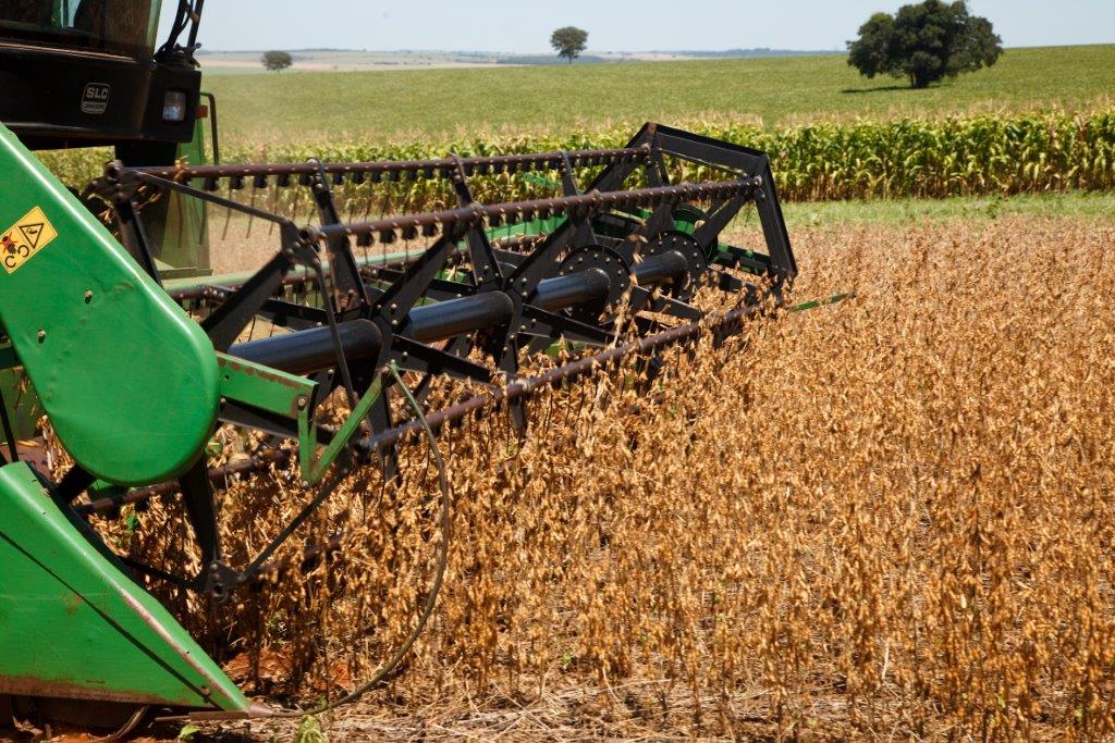 Ao longo de seu emprego na agricultura, o glifosato passou por testes e avaliações que comprovaram seu baixo potencial de danos à saúde humana e ao ambiente. 