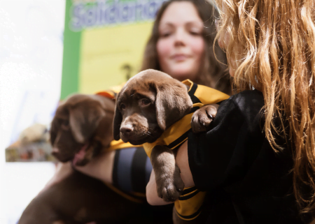 A Fundação acompanha os cães desde o nascimento até os 2 anos, quando o treinamento acaba.
