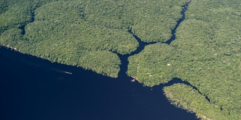 Vista aérea do Anavilhanas, nas margens do Rio Negro. Procure bem e verá alguns telhadinhos. 