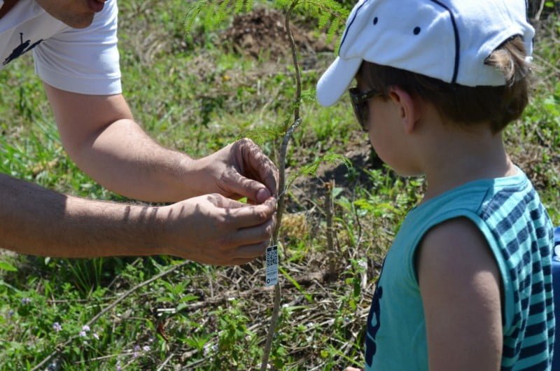 A Anubz, de Rodolfo, também tem projetos paralelos de educação infantil, para conscientização ambiental.