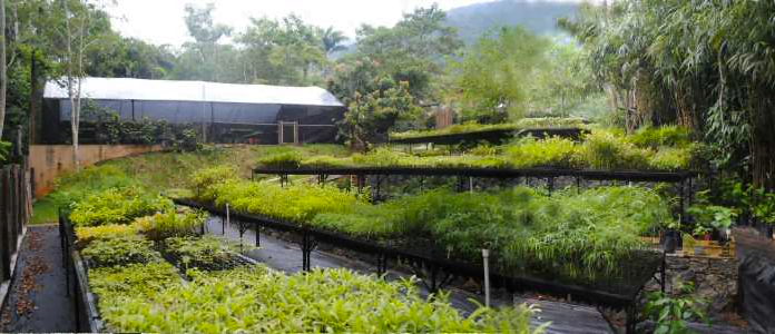 O Viva Floresta fica em Ilhabela, município do litoral paulista com 80% de sua área coberta por Mata Atlântica.