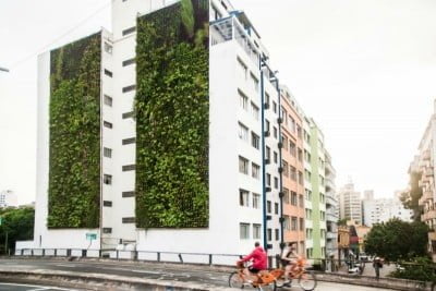 As empenas do Edifício Huds fazem parte do Corredor Verde, que está tomando o Minhocão, em São Paulo (foto: Thiago Giacobelli).