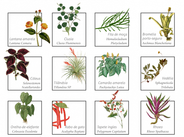 Pode carregar nas tintas: cada planta oferece um efeito visual diferente nos painéis, numa paleta vegetal.