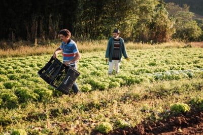 As famílias decidiram dividir entre si o primeiro saldo do Fundo dos Produtores.