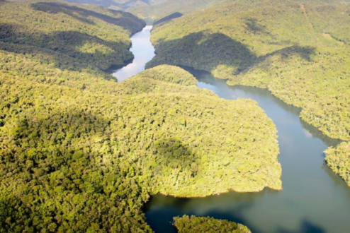 O Legado das Águas, coberto de Mata Atlântica, é uma área de preservação que é também um campo de pesquisa e uma startup dentro da Votorantim.