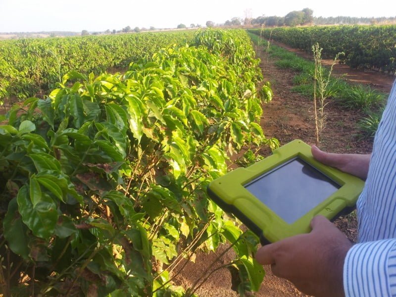 Monitoramento de plantação de café com o Strider Crop Protection.