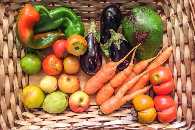 Olhe com atenção e repita para si mesmo: está tudo bem. A Fruta Imperfeita é também sobre reconhecer o valor do que está fora dos padrões. 