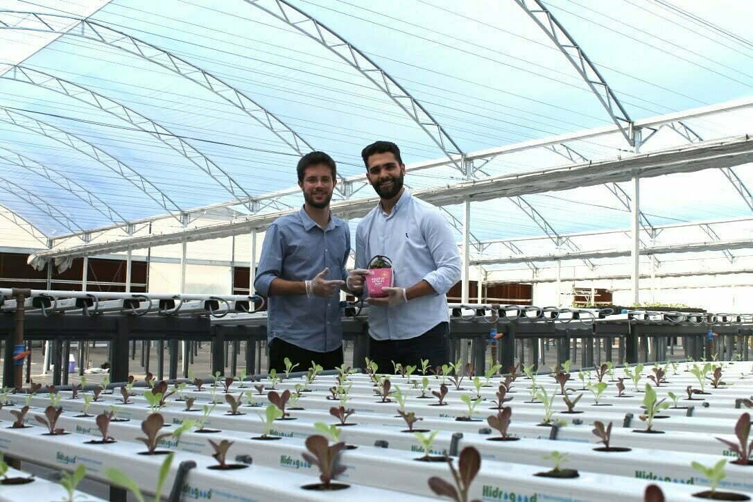 Os sócios Pedro e Giuliano posam na fazenda, que já produz mini alfaces.