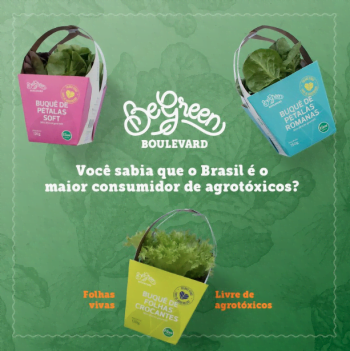 As hortaliças da Be Green não têm agrotóxicos e serão vendidas a 5 reais a unidade.