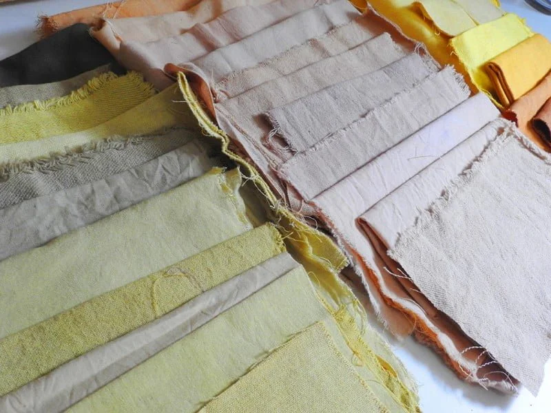 O tingimento dos tecidos de fibras naturais da Mattricaria dura, no mínimo, três dias (foto: Luis Tajes).