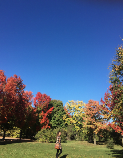 No Canadá, outono é outono. Um passeio no Jardim Botânico da cidade de Montréal ensina isso.