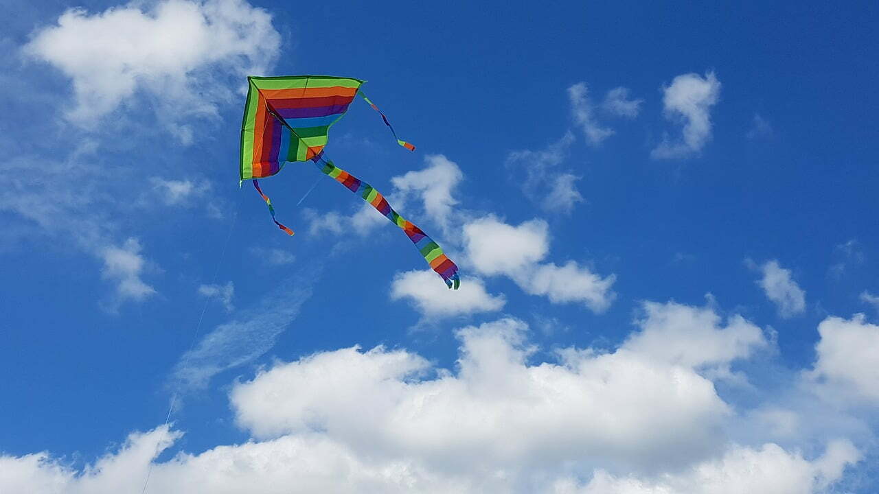 Mais liberdade: Deixe seu time aprender a voar sozinho (Pixabay/Reprodução).