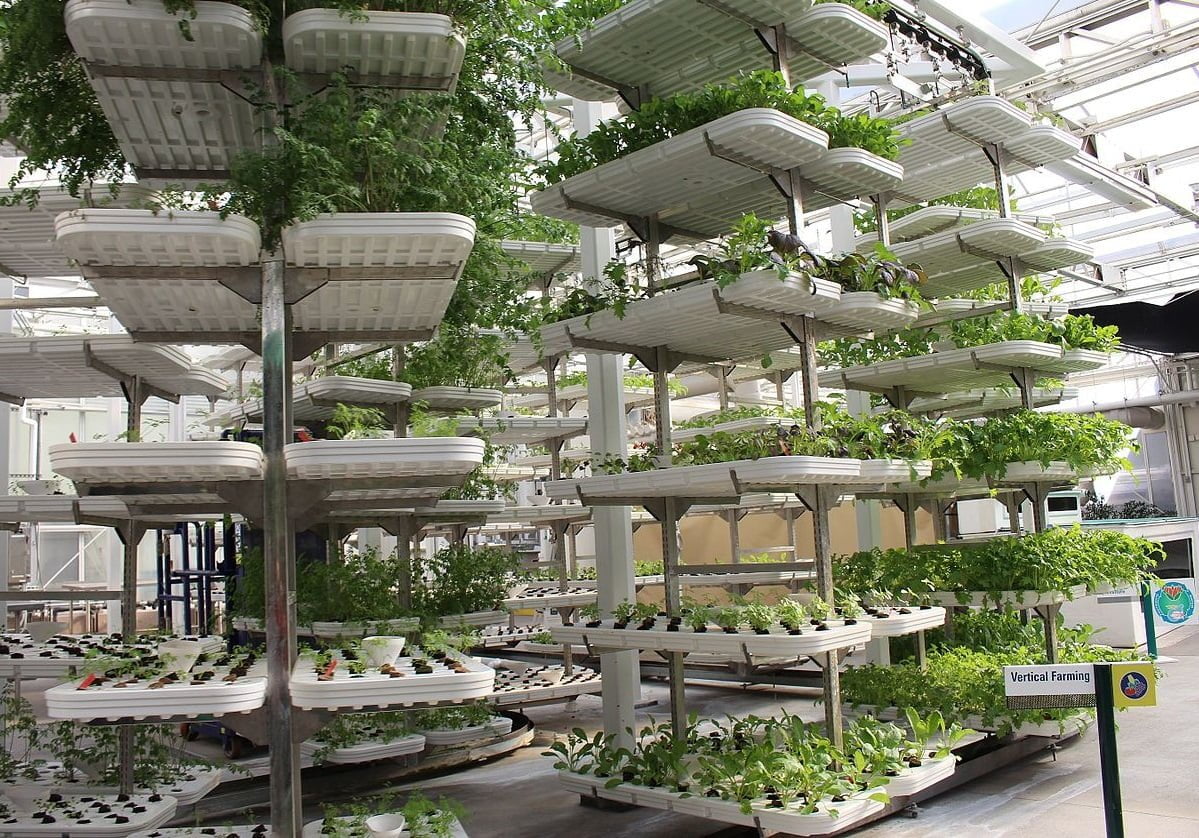Uma das tendências para o maior controle da produção alimentar são as fazendas verticais, como a da foto acima.