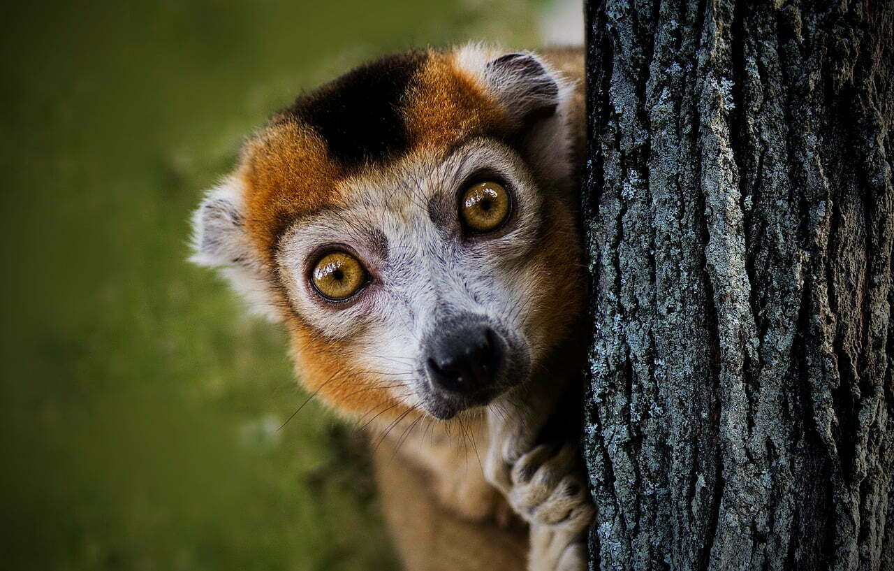 Mantenha os olhos arregalados: é fácil deixar passar batido o esforço alheio.