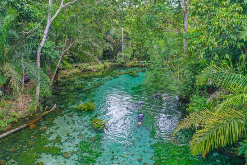 Nascente Azul, Bonito, Pantanal