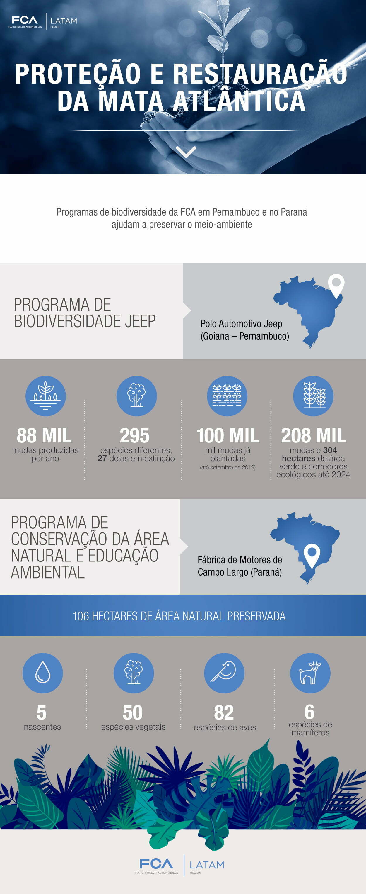 Infográfico Proteção e Restauração da Mata Atlântica