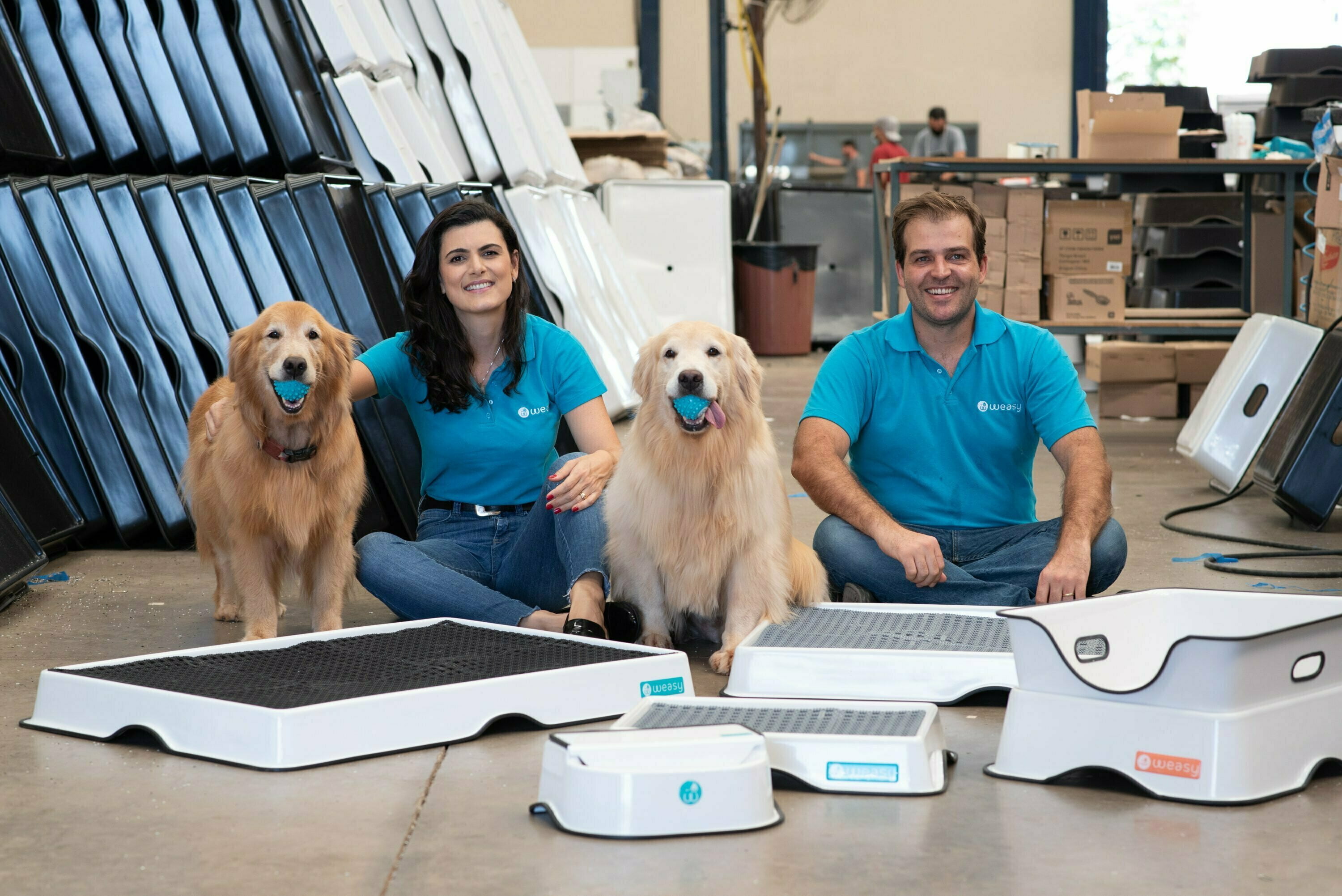 Um cachorro estava procurando emprego, depois de muito tempo de