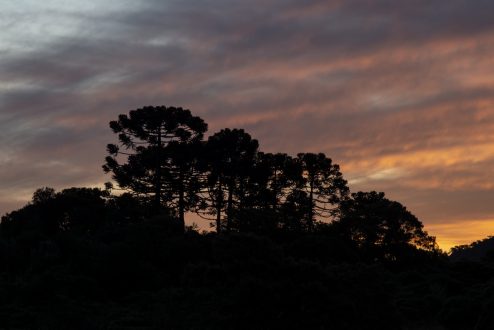 Serra da Farofa - Klabin