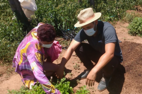 Famílias que participaram do programa Village tiveram aumento de 230% em sua renda.