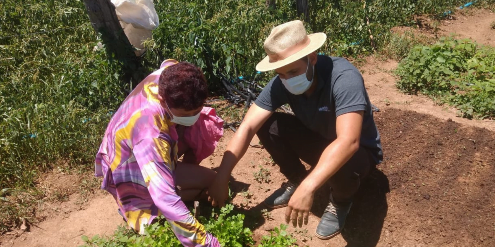 Famílias que participaram do programa Village tiveram aumento de 230% em sua renda.