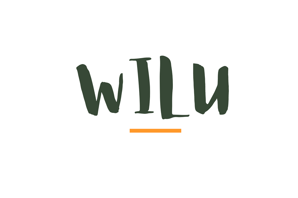 A Wilu usa inteligÃªncia artificial para recomendar ao cliente o  acompanhamento terapÃªutico mais indicado ao seu perfil