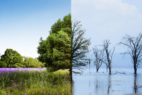Saiba mais sobre o conceito de adaptação climática, tema deve ocupar o centro dos debates na COP30.