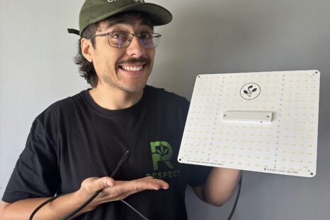 Cadu Brandão, cofundador da Cultlight.